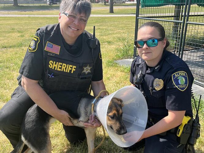 UPDATED Alpena sheriff Leave Animal Control agency as is, for now